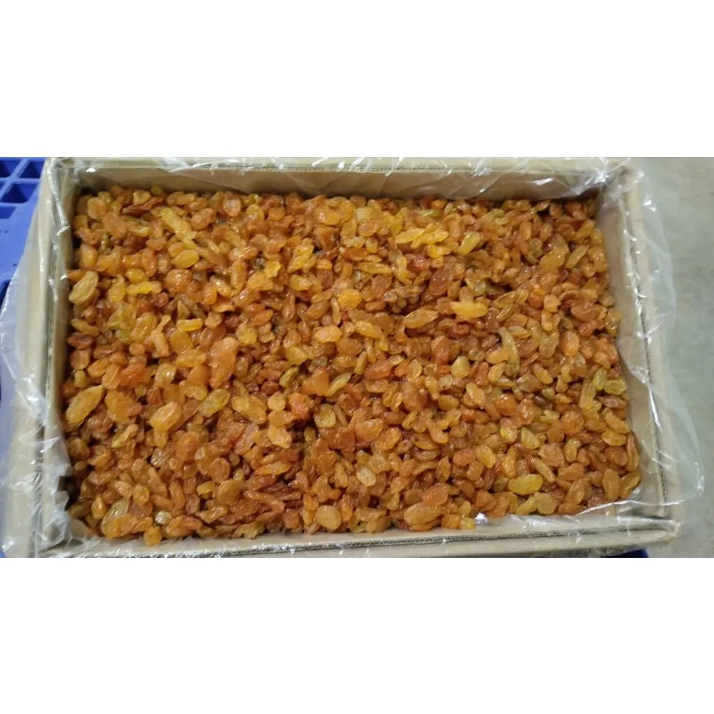 golden kismis.webp