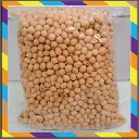 kacang atom sp.webp