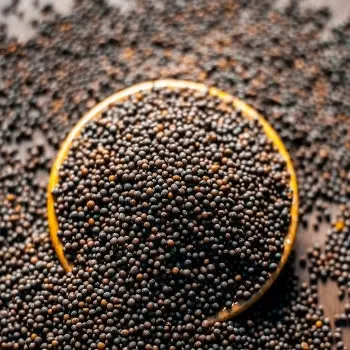 Biji Sesawi Hitam 1 Kg
