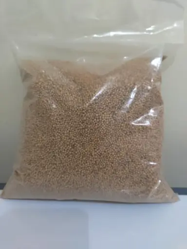 Biji Sesawi Kuning 1 Kg